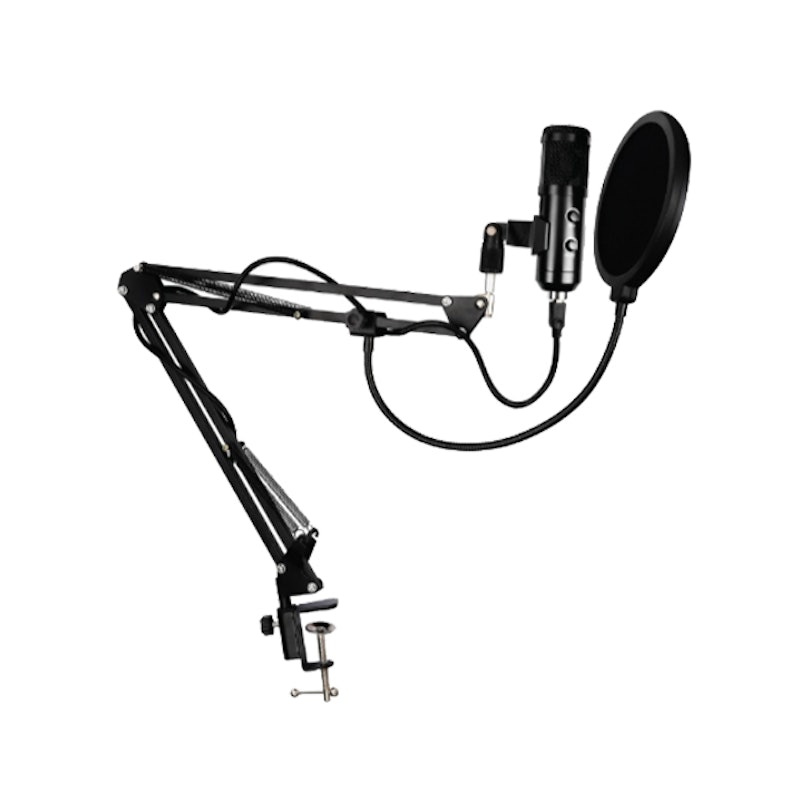 USB Condenser Microphone Sound Recording 1