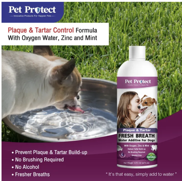 Cat Plaque & Tartar น้ำยาดับกลิ่นปากแมว ผสมน้ำดื่ม 3