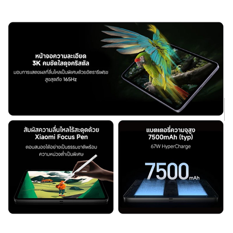 แท็บเล็ต Pad Mini 12 12+512GB 2