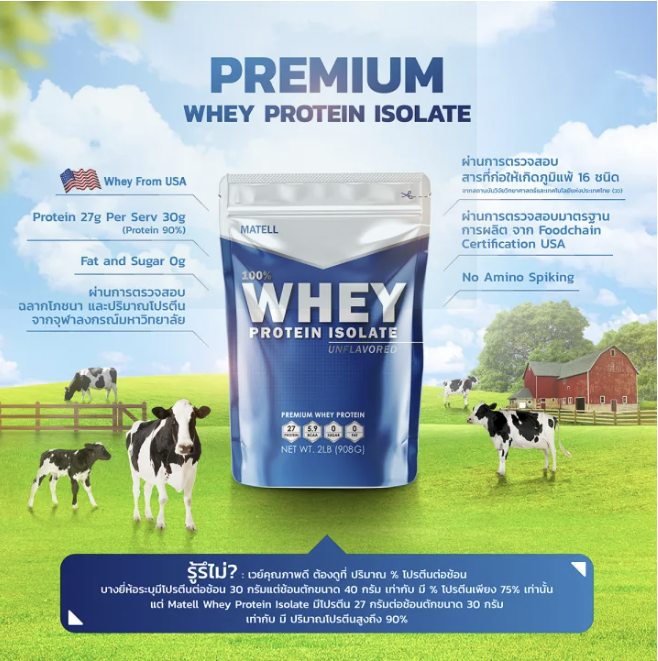 Whey Protein Isolate Non Soy 3
