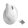 Keychron เมาส์ทำงาน M5 8K Wireless Ergonomic Mouse Vertical Mouse 8K Polling Rate 1
