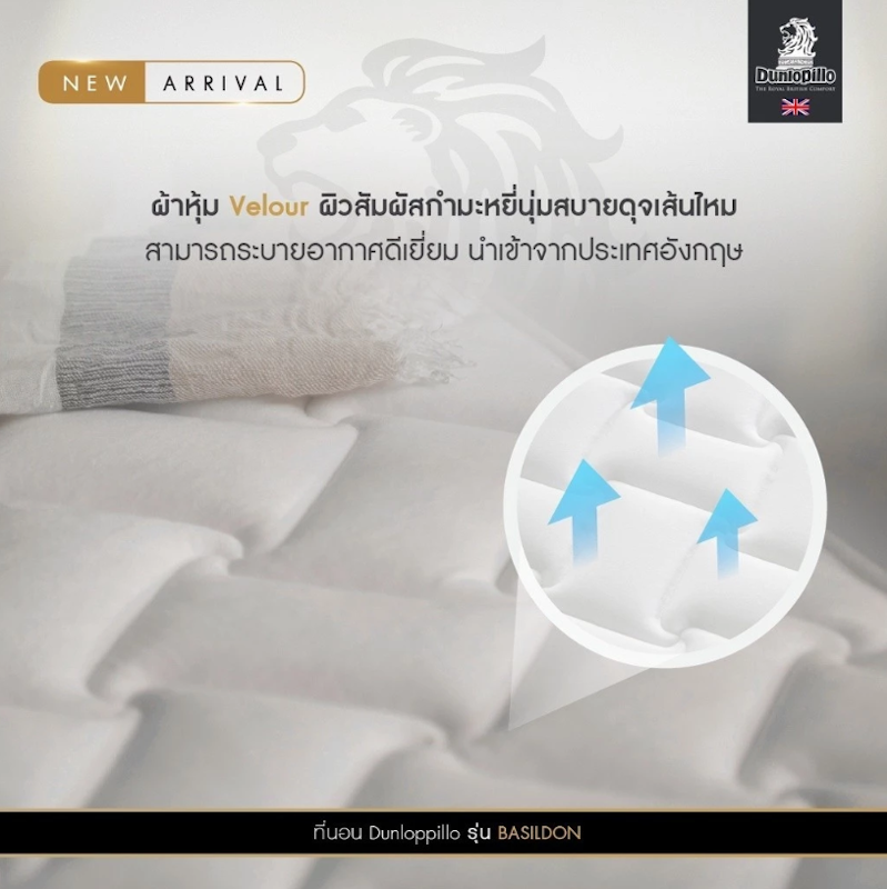 ที่นอนพ็อกเก็ตสปริง รุ่น Basildon 4