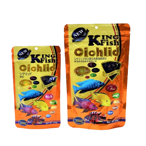 Cichlid 1