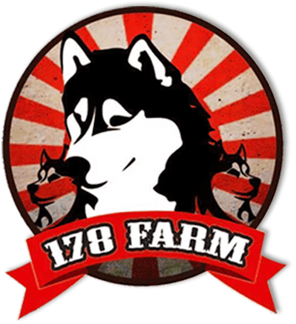 ฟาร์มสุนัข 178Farm Husky Bangkok 1