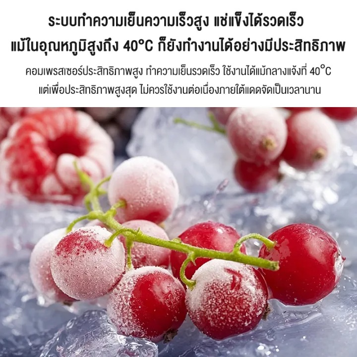 ตู้เย็นพกพา 10L 3