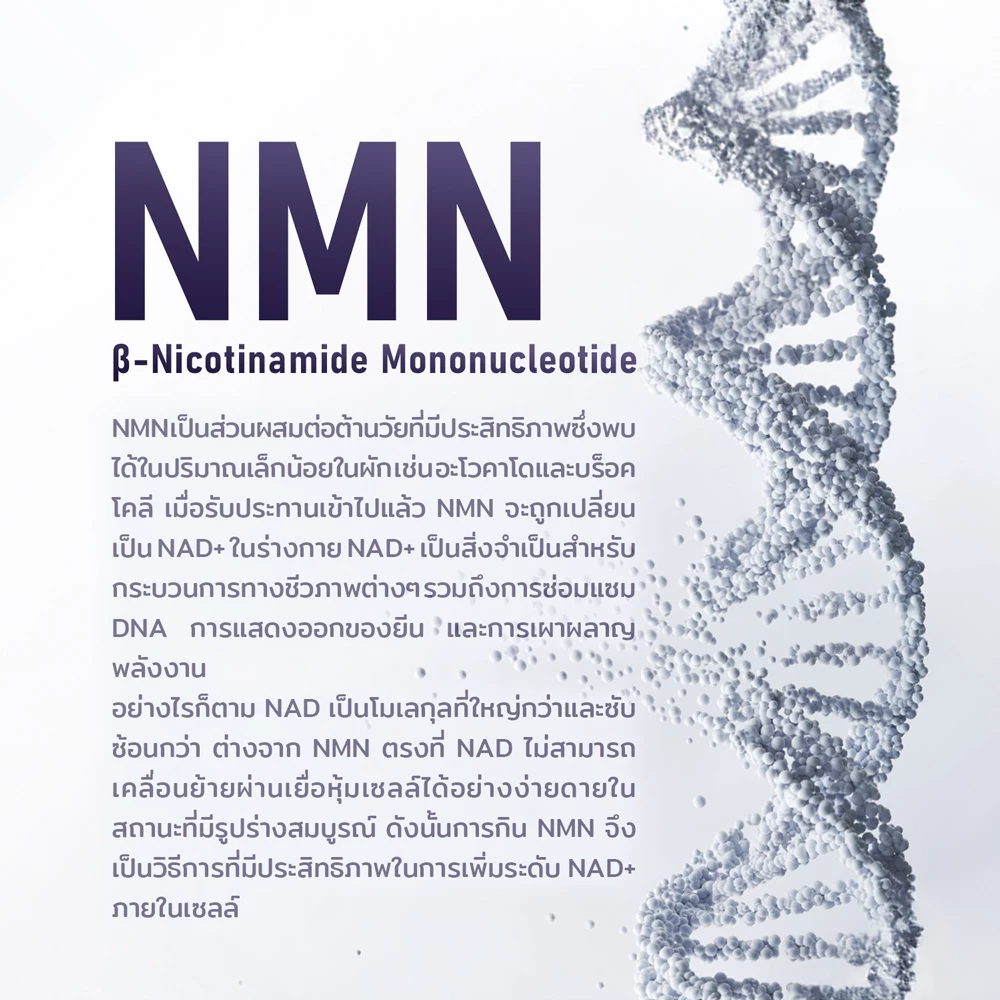NMN 2