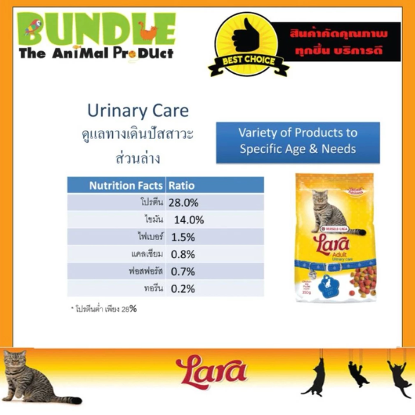Adult Urinary Care  2