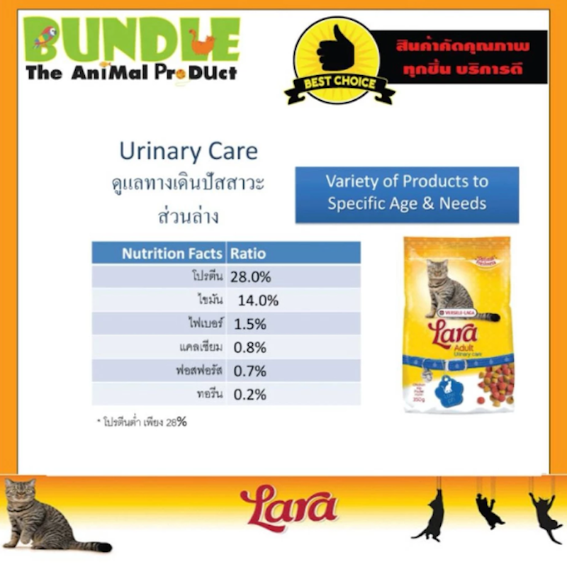 Adult Urinary Care 2
