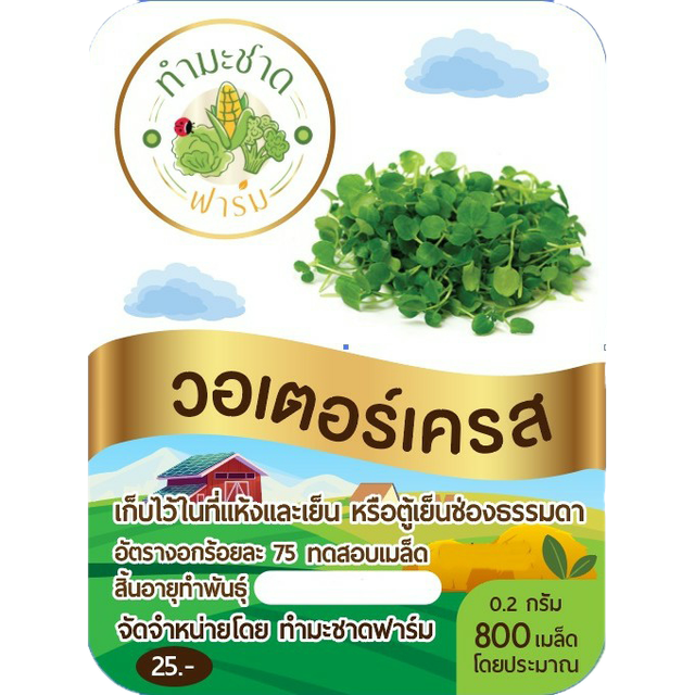 10 อันดับ ผักวอเตอร์เครส ปี 2026 สลัดน้ำสำหรับสายสุขภาพ มีทั้งสีเขียว สีแดง และฮาวาย 4
