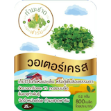 10 อันดับ ผักวอเตอร์เครส ปี 2026 สลัดน้ำสำหรับสายสุขภาพ มีทั้งสีเขียว สีแดง และฮาวาย 4