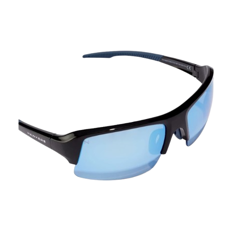 Polarized Bat 2