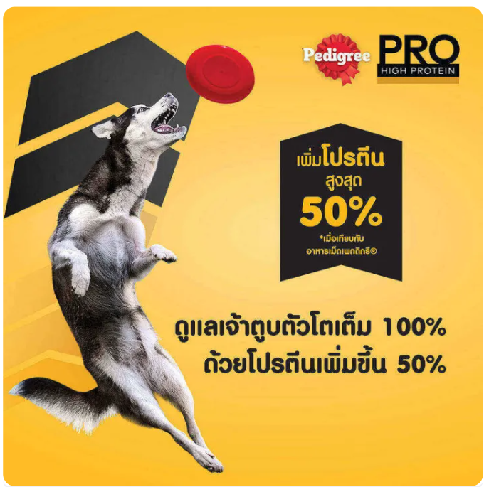 Pro High Protein 2