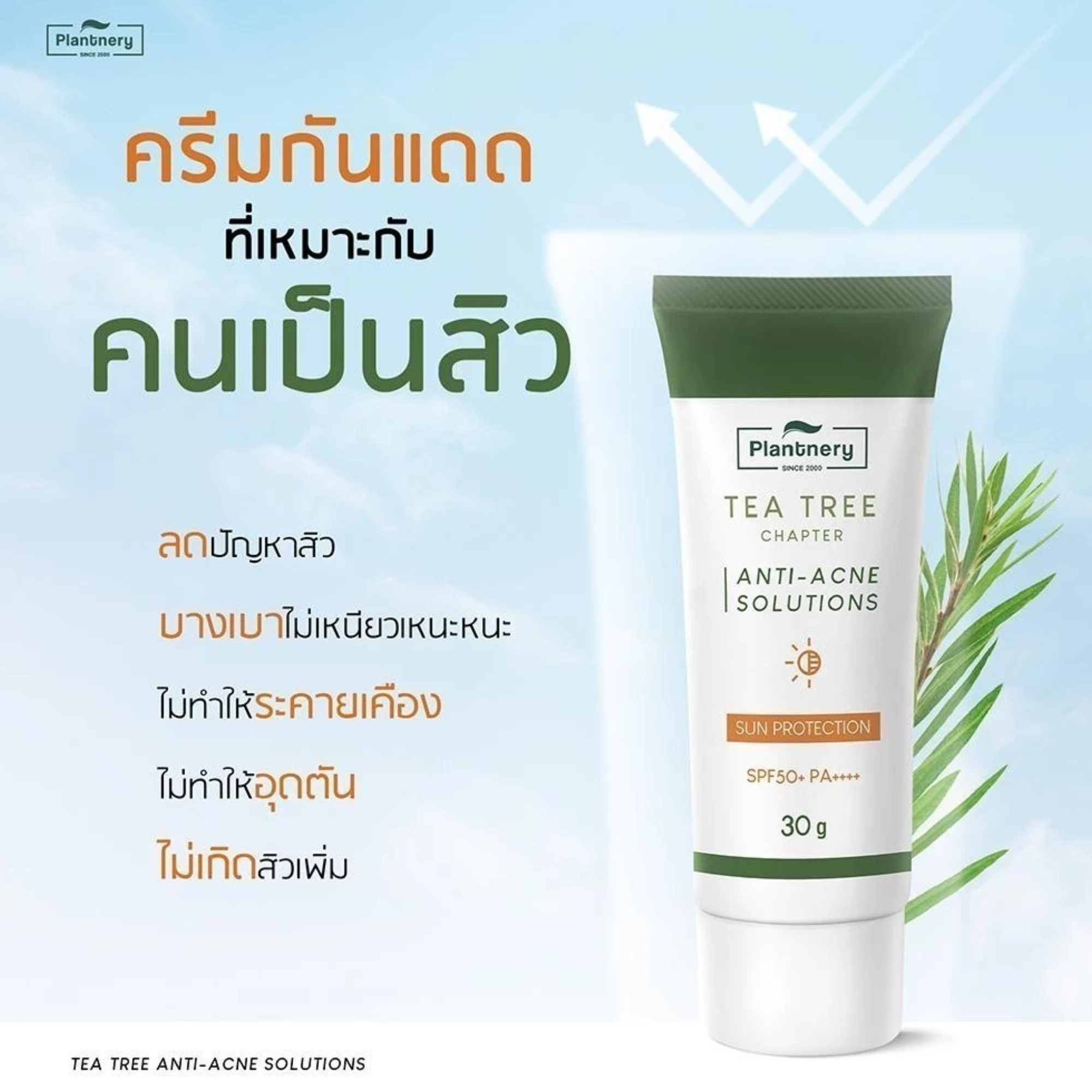Tea Tree Sunscreen Acne Oil Control SPF 50+ PA++++ 3
