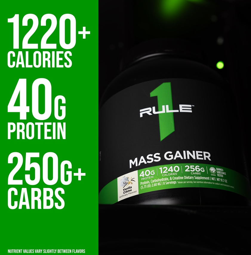 Mass Gainer Protein Weight Gainer 2