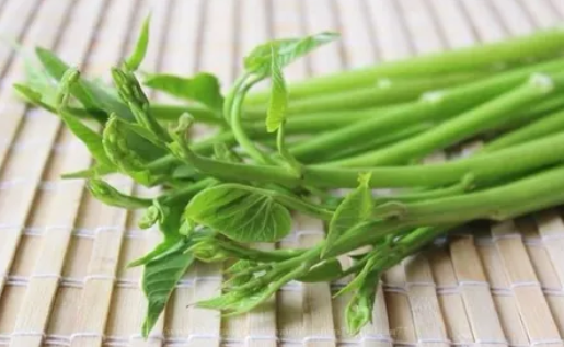 เมล็ดพันธุ์ผัก ผักบุ้งแก้ว 2