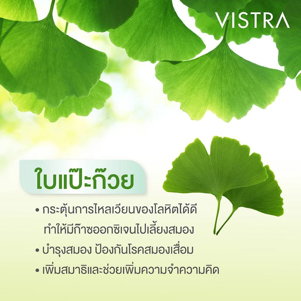 Ginkgo 3