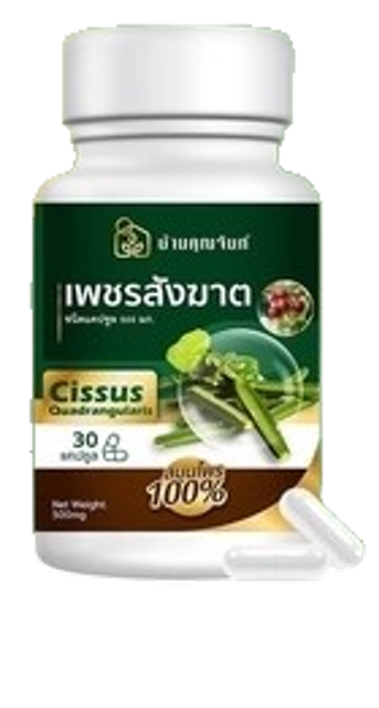 เพชรสังฆาต ยาแผนโบราณชนิดแคปซูล 1