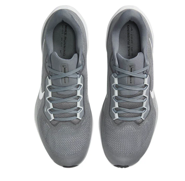 Pegasus 41 2
