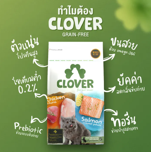 อาหารแมว Holistic Grain - Free  3