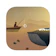 Nexelon เกมตกปลา ล่าสัตว์ Fishing and Life 1