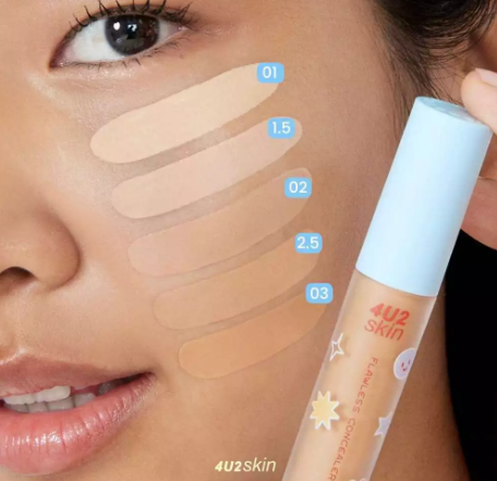 Skin Flawless Concealer 3