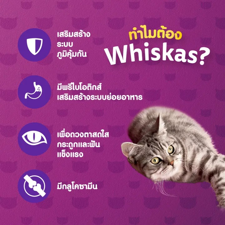 อาหารแมวแก่ Adult 7+ 2