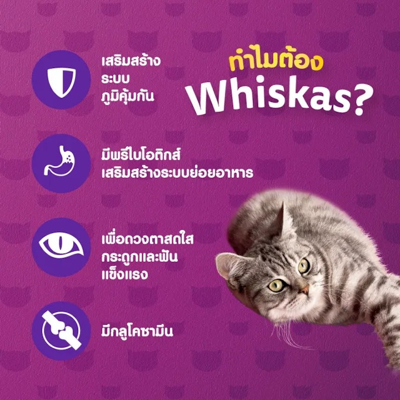 อาหารแมวแก่ Adult 7+ 2