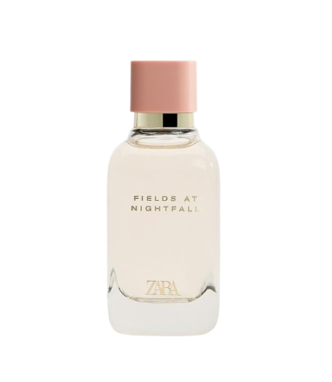 10 น้ำหอม Zara กลิ่นไหนหอม ปี 2026 รวมกลิ่นแนะนำ ยอดนิยม 5