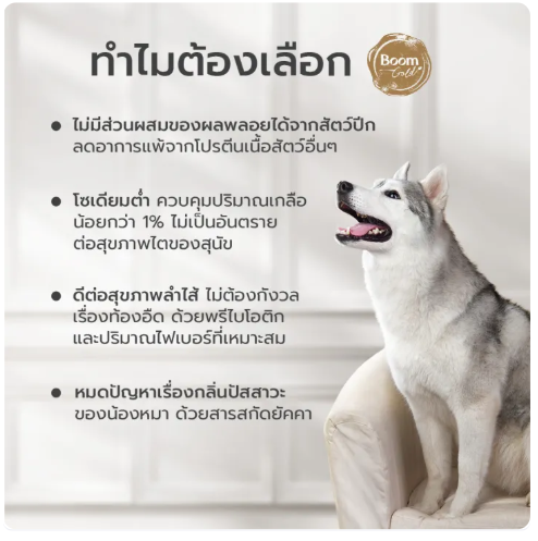 อาหารสุนัข   2