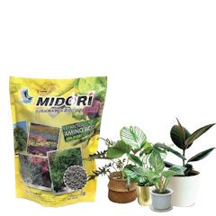 Extract Amino Acid for Plant