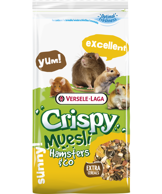 Crispy Muesli 1
