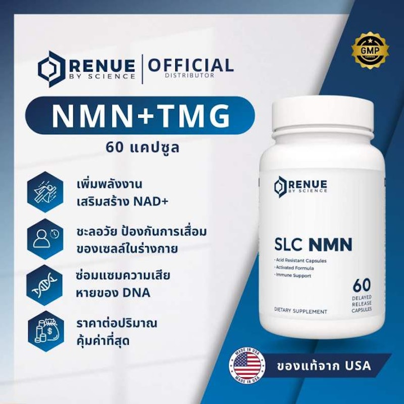 SLC NMN 3
