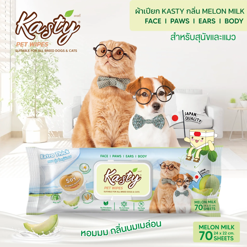 Pet Wipes Original 4