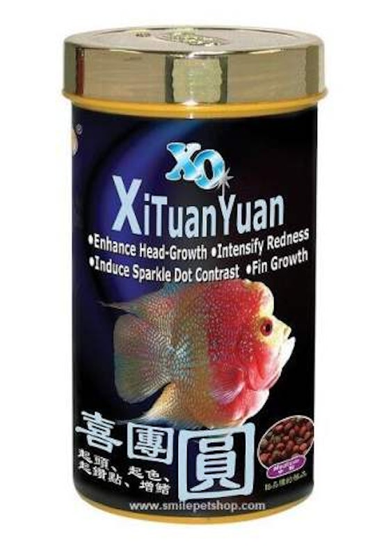 อาหารปลาหมอสี XO Xi Tuan Yuan 1