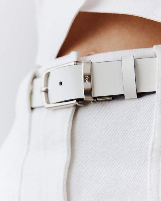 Reversible Belt 2