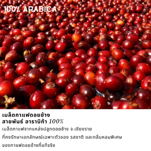 เมล็ดกาแฟดอยช้าง 2