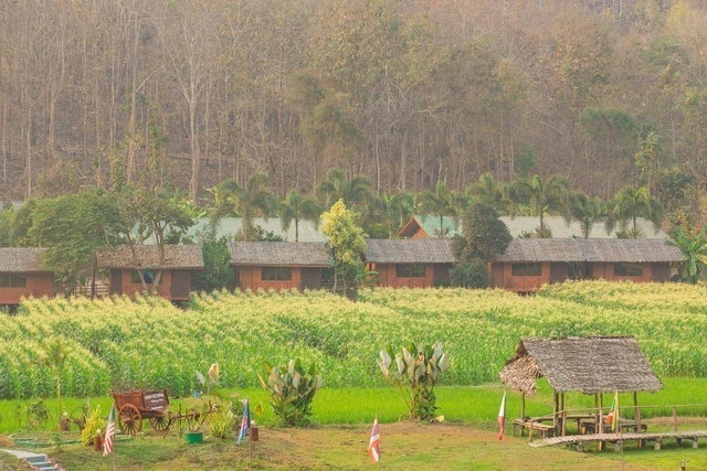 ที่พักดอยอินทนนท์ Karen Eco Lodge 1