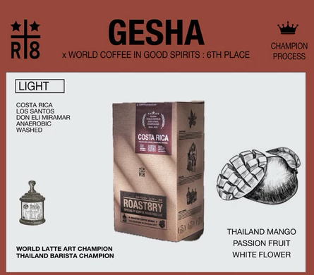เมล็ดกาแฟ Geisha คั่วอ่อน 2