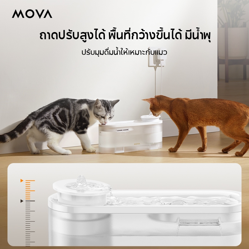 WF10 Pro Pet Water Fountain 3
