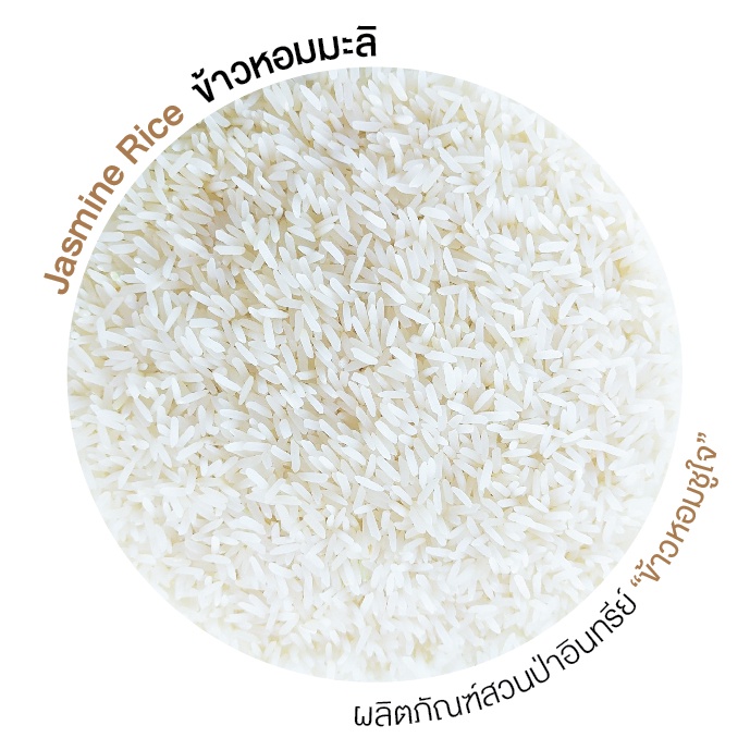 ข้าวหอมมะลิออร์แกนิก 3