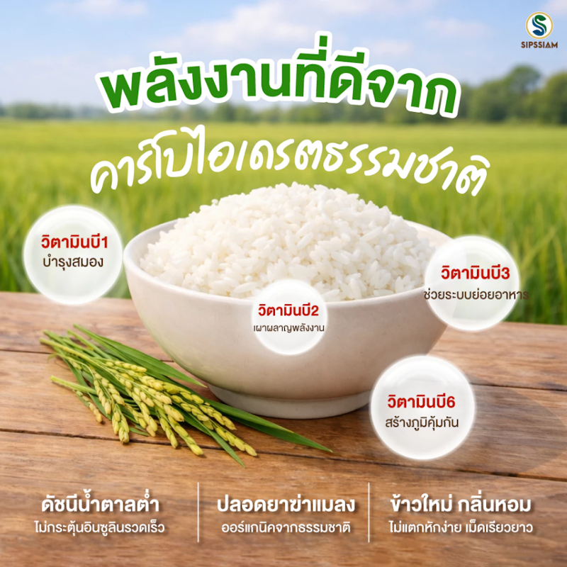 ข้าวสารดัชนีน้ำตาลต่ำ กข 43 2