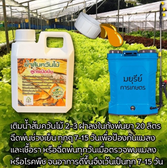 น้ำส้มควันไม้ สูตรเข้มข้น 3
