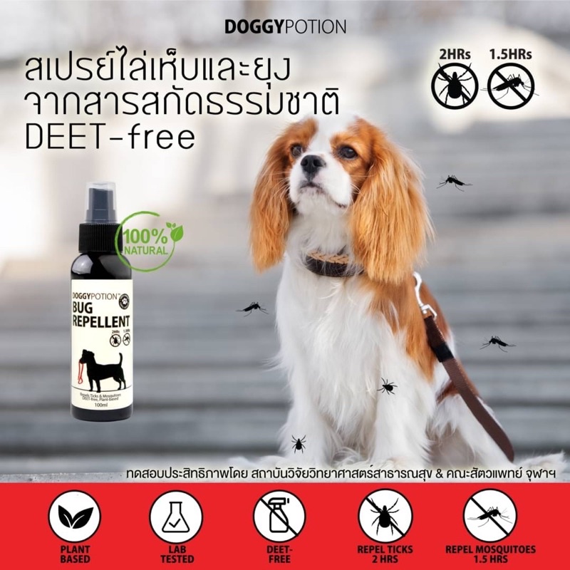 Bug Repellent Spray 3