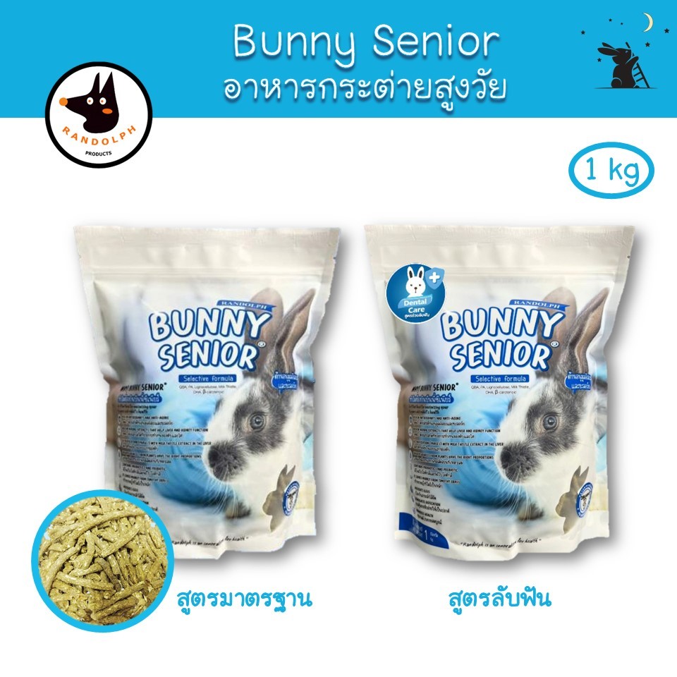 BUNNY SENIOR 2