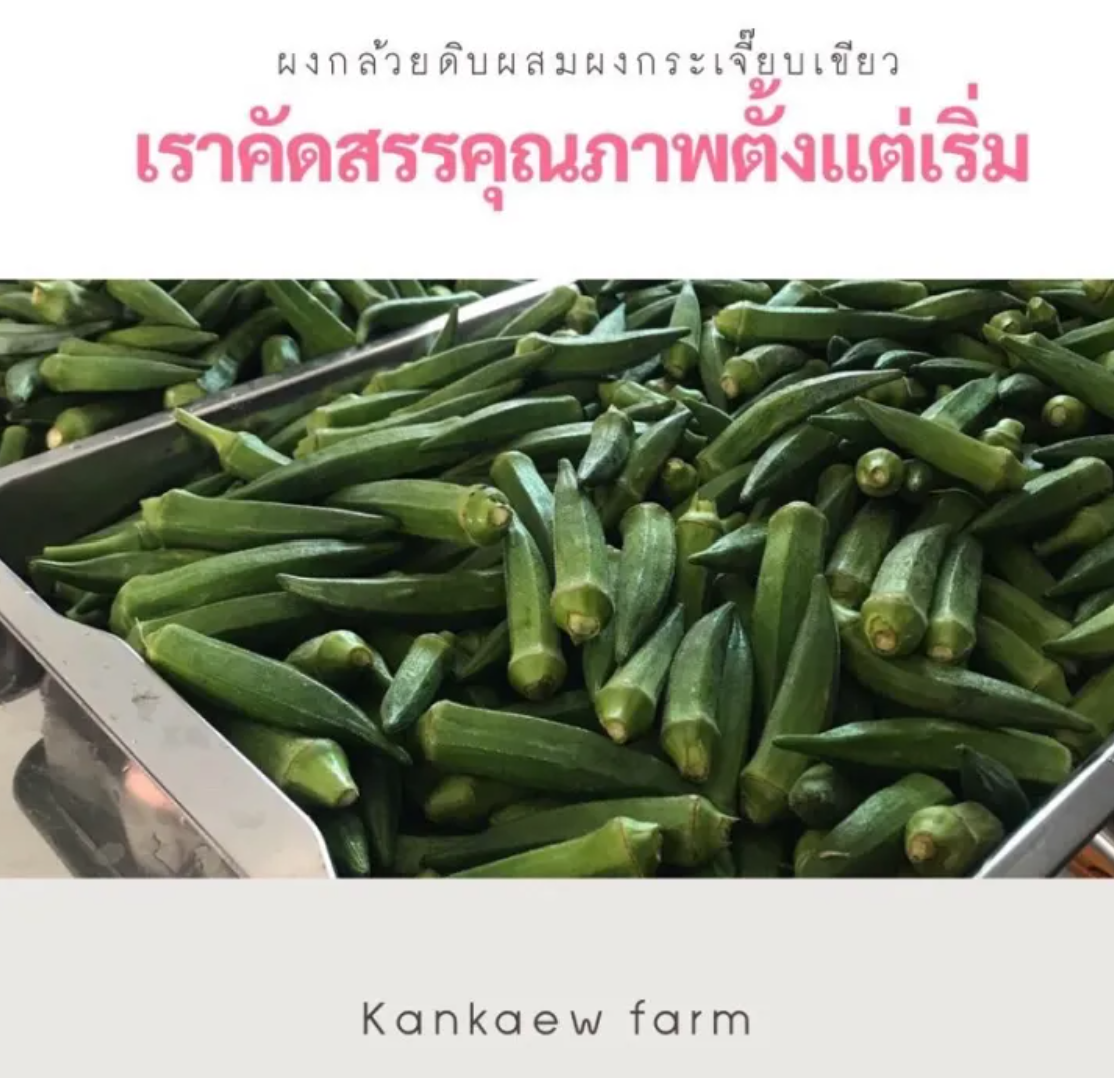 ผงกล้วยดิบผสมกระเจี๊ยบเขียว (250 g) 3