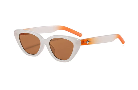 Avery Sunglasses 2