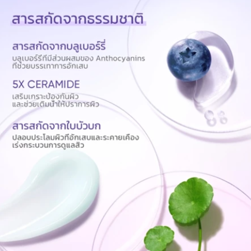 Blueberry Ceramide Moisturizer 2