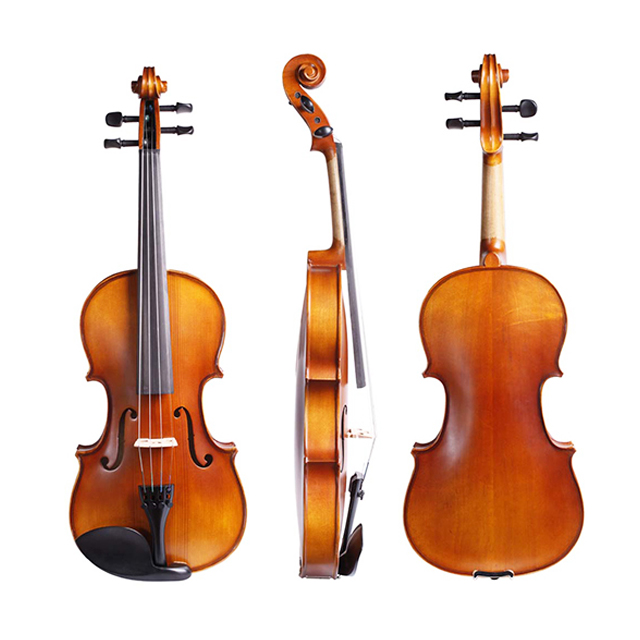 ไวโอลิน Violin 2