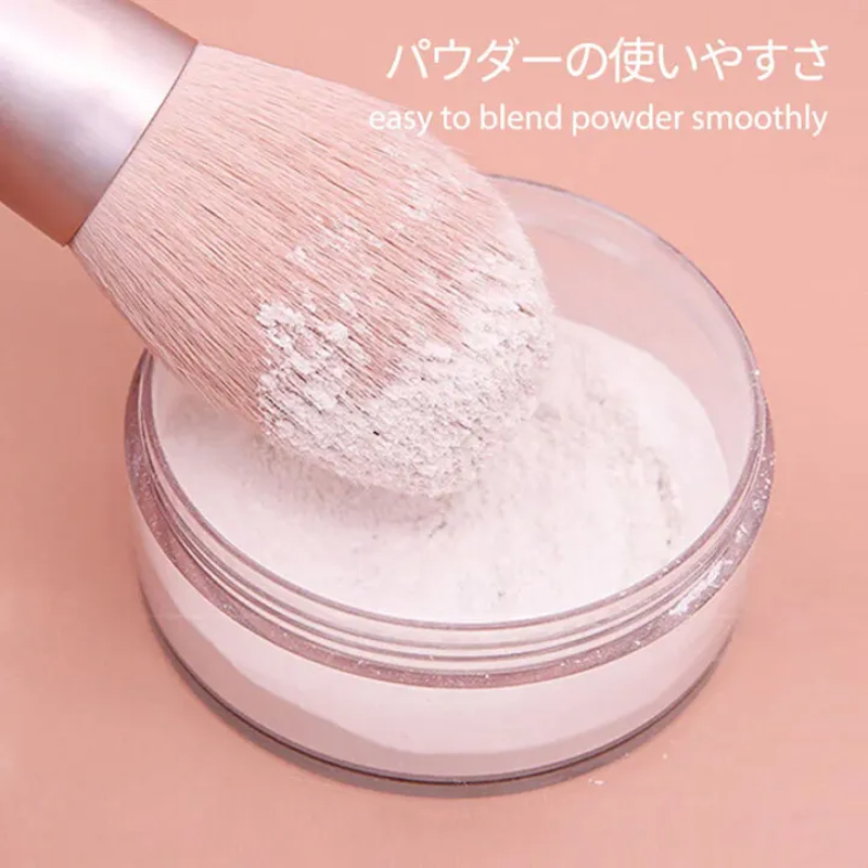 Soft Bristle Powder Brush 3