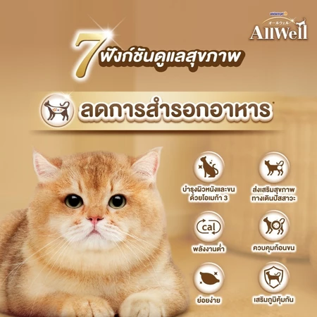 Indoor Cat Fish Flavor 2